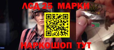 spice Моздок