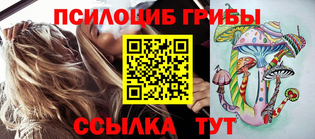 Галлюциногенные грибы мицелий  Псилоцибиновые грибы Psilocybine cubensis  Волгоград  Вход с VPN 