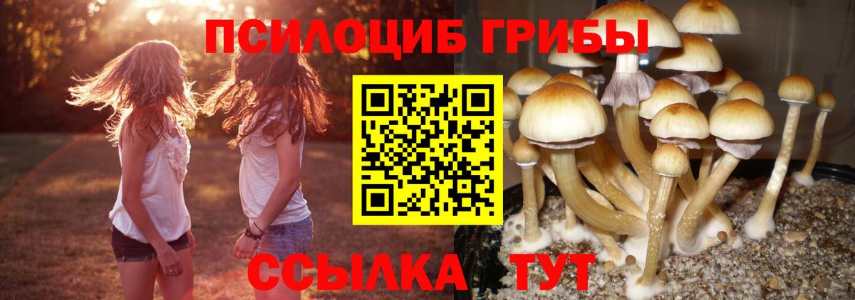 Псилоцибиновые грибы Magic Shrooms Волгоград